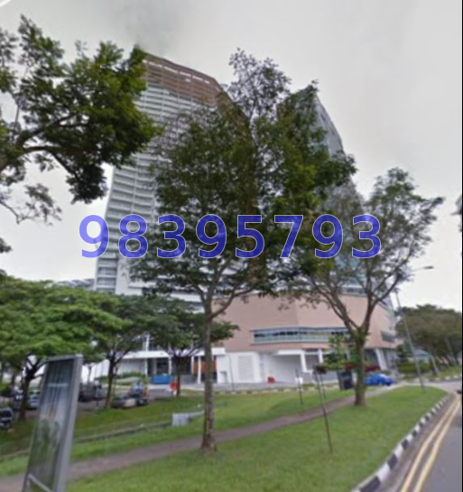 The Rochester Residences (D5), Apartment #20574092